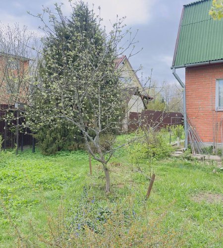 Объект №96978547