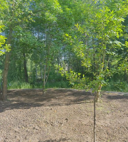 Объект №110667964