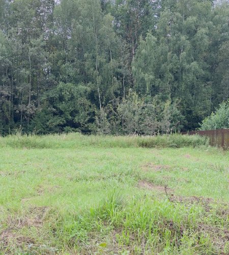 Объект №116279241