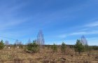 Земельный участок 7 соток