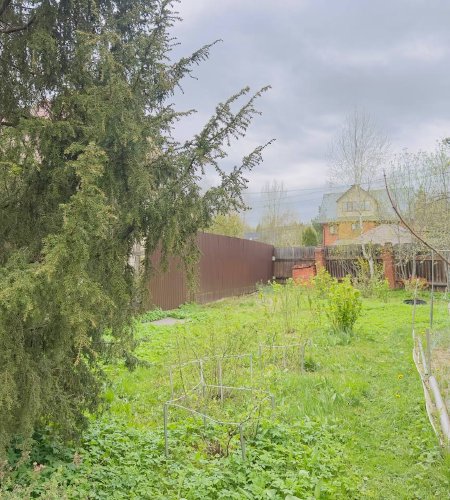 Объект №96978547