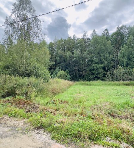 Объект №116279241