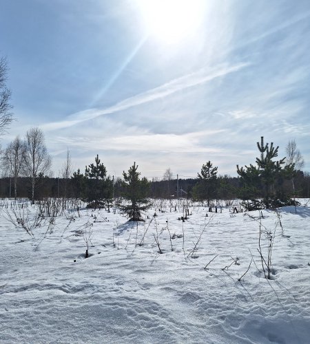 Земельный участок 7 соток