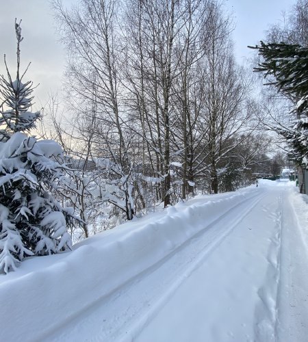 Продается дом с участком