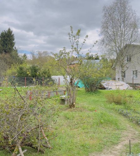 Объект №96978547