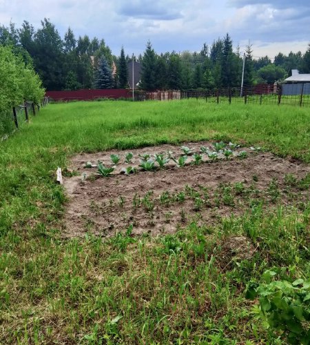 Объект №137109712