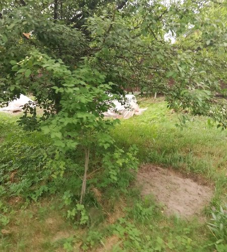 Объект №137109712