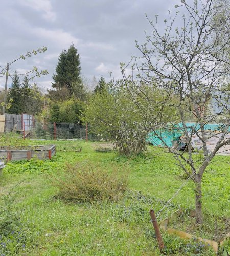 Объект №96978547