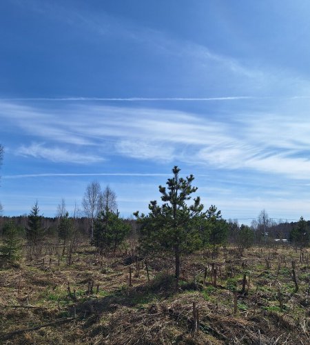 Земельный участок 7 соток