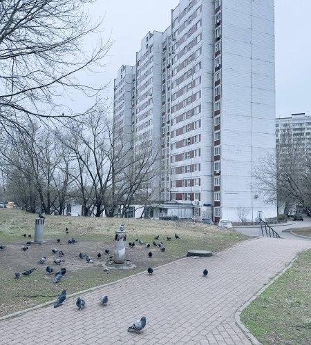 Объект №129083095