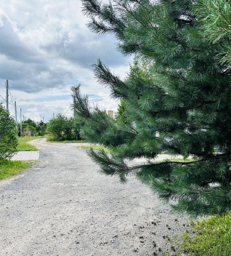 Участок 55 соток