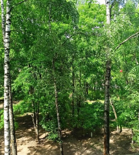 3 к.кв.Щелково, Неделина 1