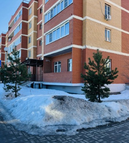 Объект №133148221