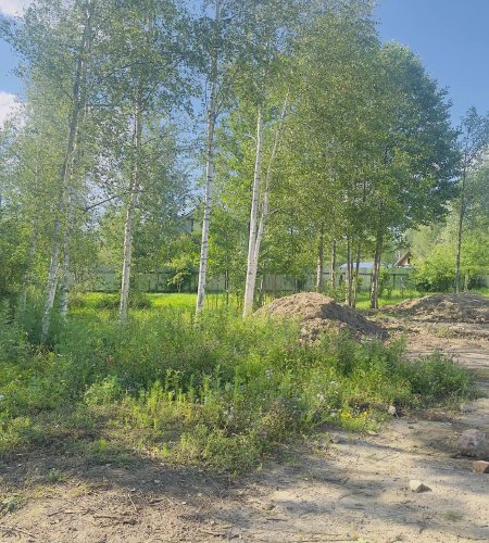 Объект №110667964