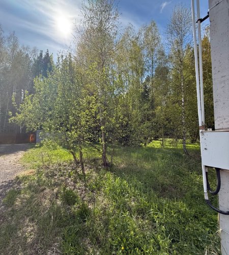 Объект №116271890