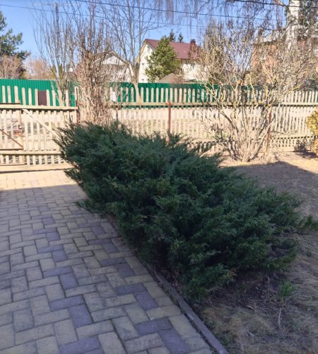 Объект №95533768