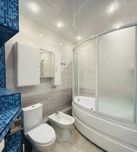 Объект №133148221