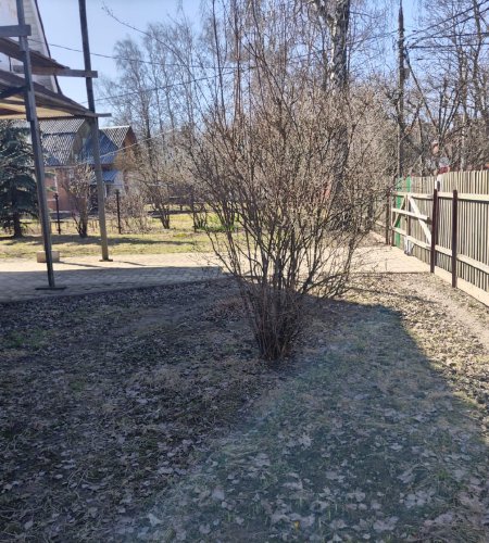 Объект №95533768