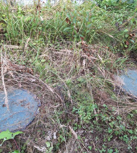 Дом 94 м.кв. на участке 7,7 соток