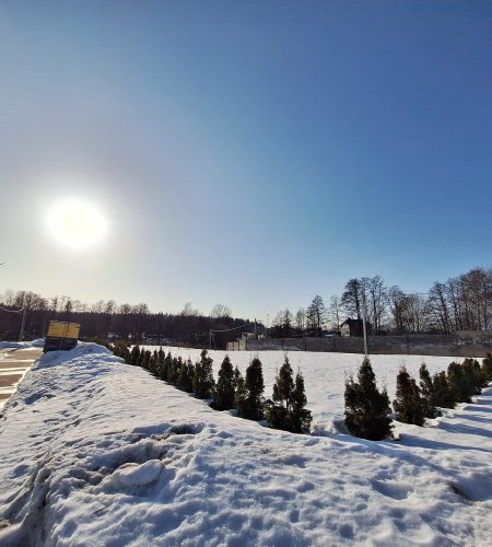 Участок 6 соток д. Богослово