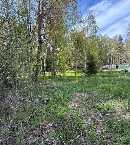 Объект №116271890