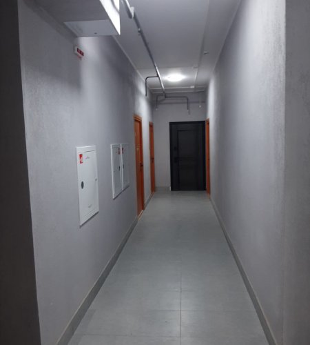 Объект №113023416