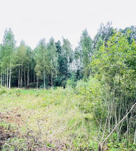 Объект №116279241