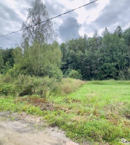 Объект №116279241