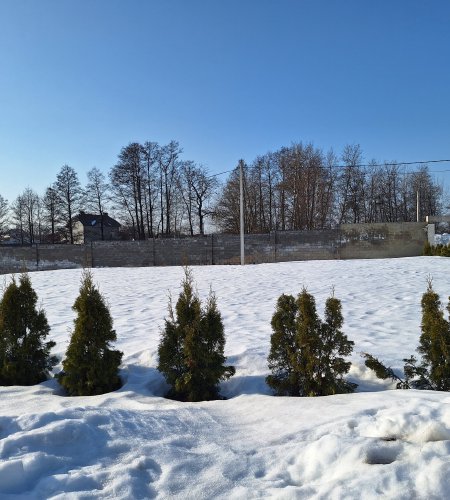 Участок 6 соток д. Богослово