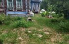 Объект №137109712