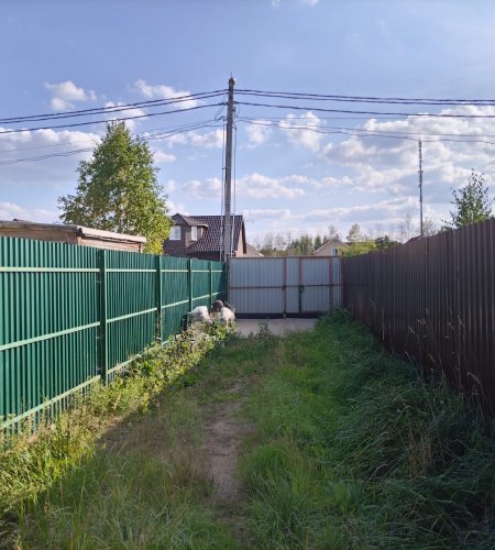 Объект №116958856