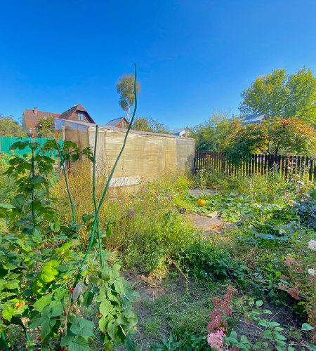 Продается дом с участком