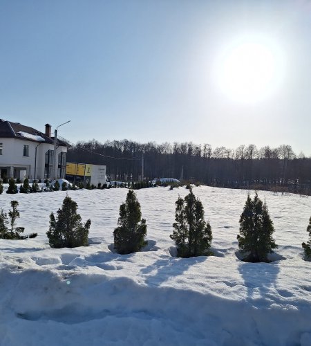 Участок 6 соток д. Богослово