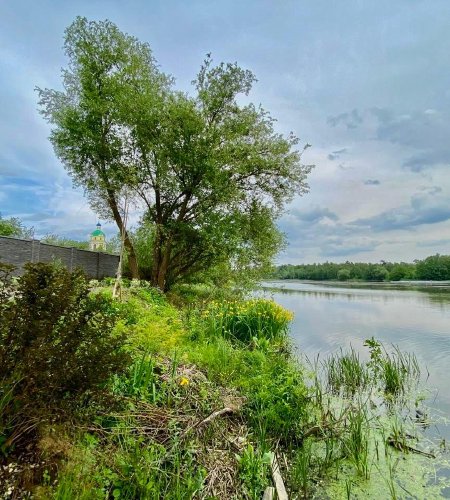 Продается дом с участком