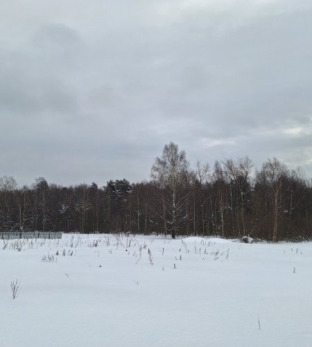 Участок 8,6 соток Пушкино