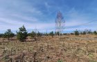 Земельный участок 6 соток