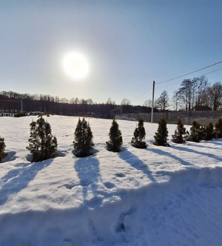 Участок 6 соток д. Богослово