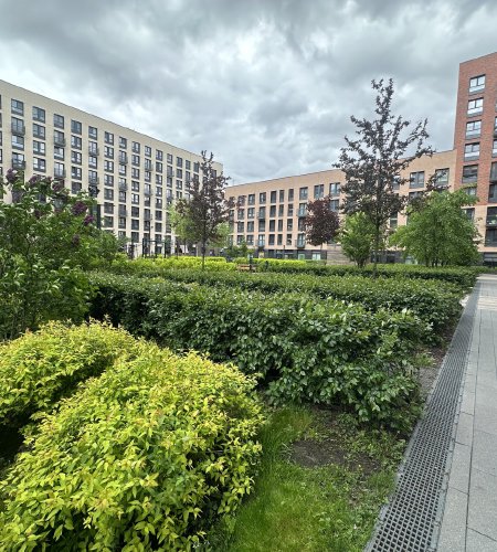 ТОП ПРЕДЛОЖЕНИЕ!